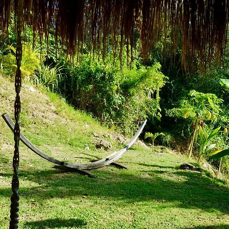 圣安娜Cocotier, Elegant T3 Avec Jardin Tropical公寓 外观 照片