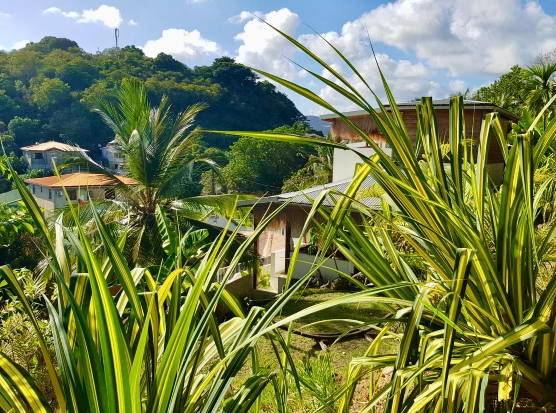 圣安娜Cocotier, Elegant T3 Avec Jardin Tropical公寓 外观 照片
